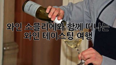 와인 소믈리에와 함께 떠나는 와인 테이스팅 여행